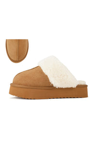 Darwin Platform Slipper