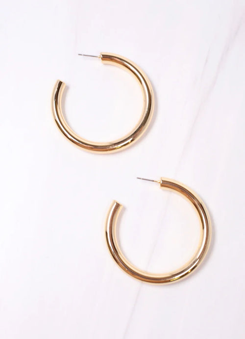 Perrineau Hoop Earring - Gold & Silver