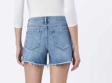 Vervet Riptide Shorts