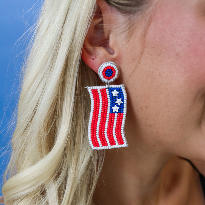 Land of the Free Earrings