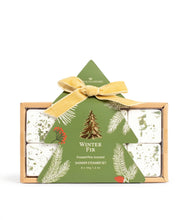 The Royal Standard Winter Fir Collection - Multiple Options