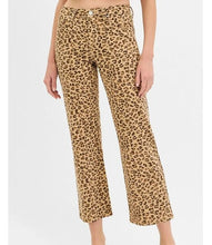 Risen Safari Jeans