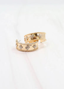 Izabela CZ Hoop Earring